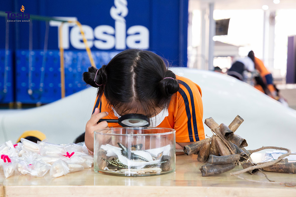Science Day and Earth Day at Tesla Education