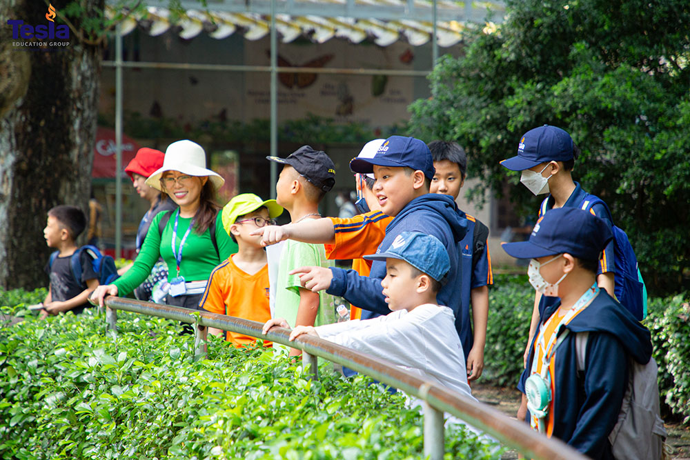 Truong-Quoc-te-Tesla-Trai-He-2024-PYP_3